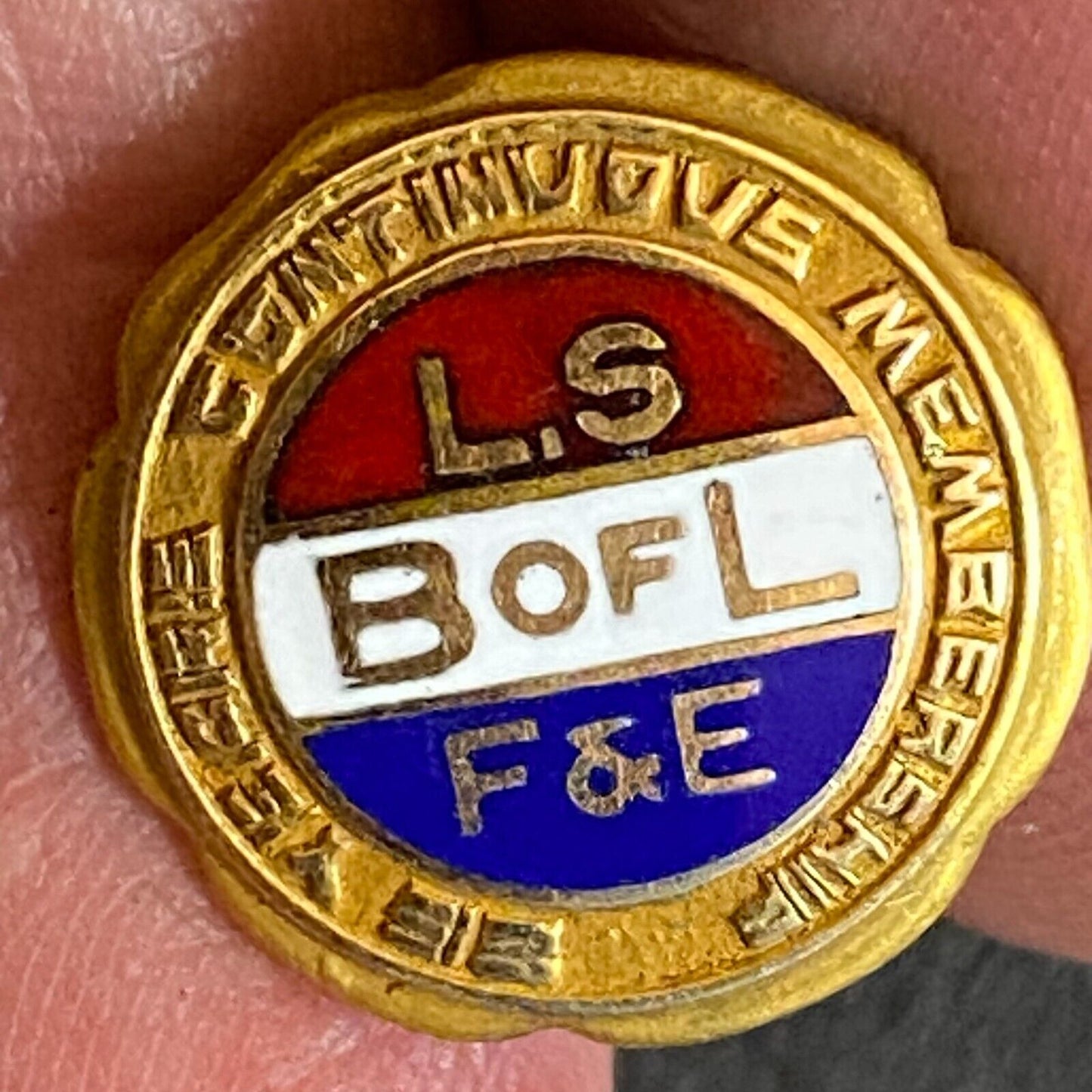 L.S. B of L F&E (Locomotive Firemen) 25yr. Color Enameled Lapel Pin 14mm