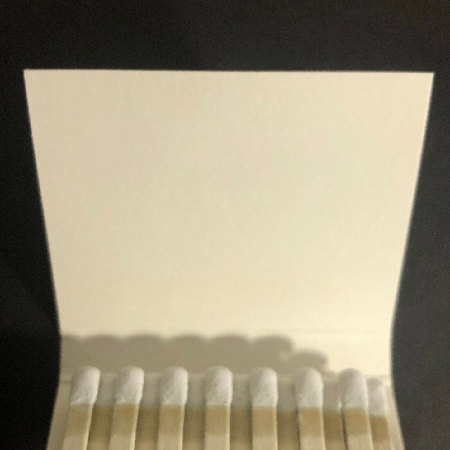 Mulberry Inn Savannah Georgia c1980's Full Matchbook
