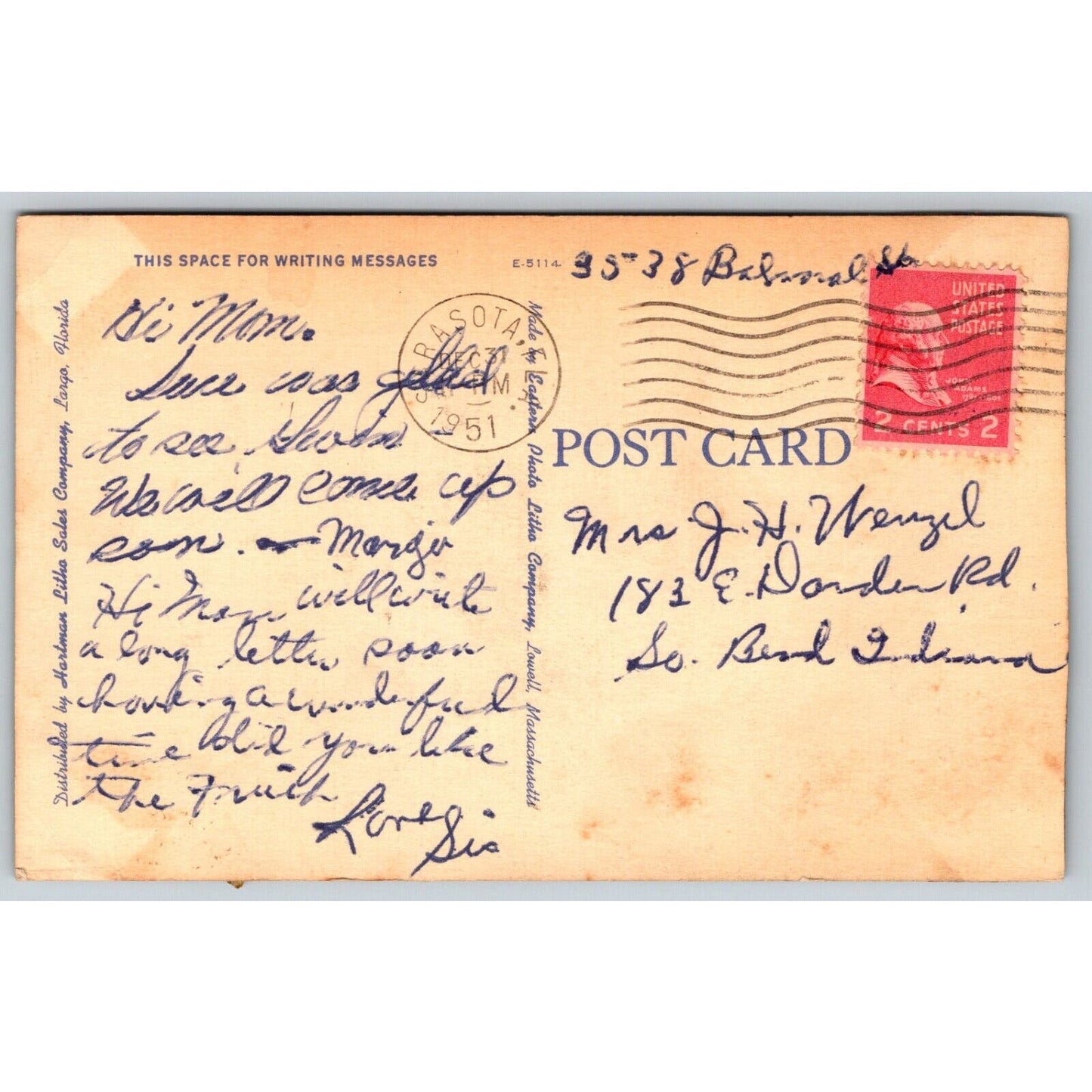 Panther at Ringling Bros Winter Quarters Sarasota Postcard PM 1951