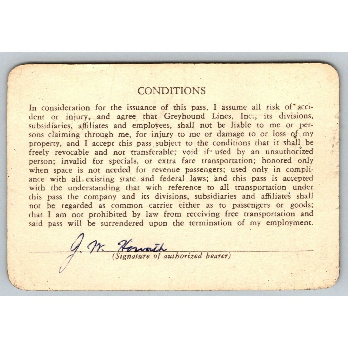 Central Greyhound Lines 1964-65 50th Anniversary Annual / Yearly Bus Pass #7213
