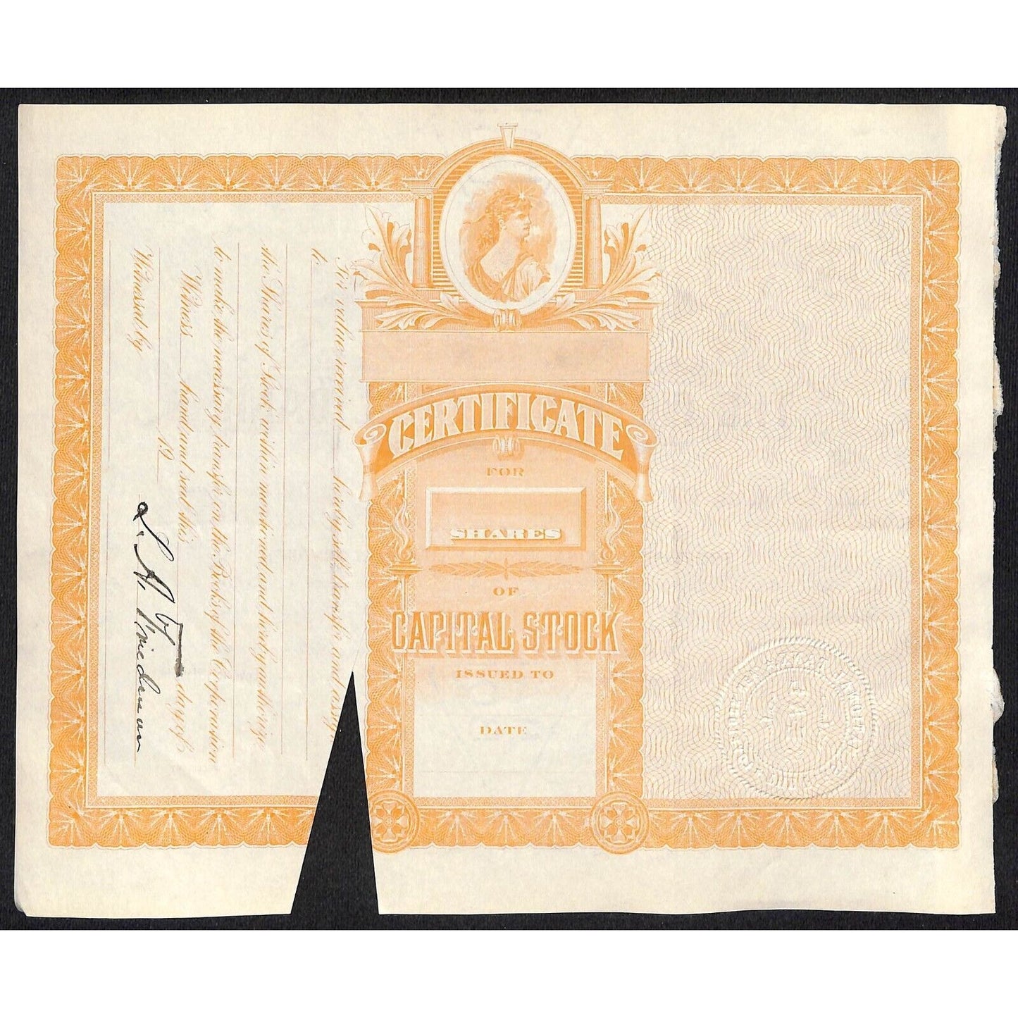 First National Bank of Lovelock, NV 1911 Stock Certificate to L.A. Friedman *