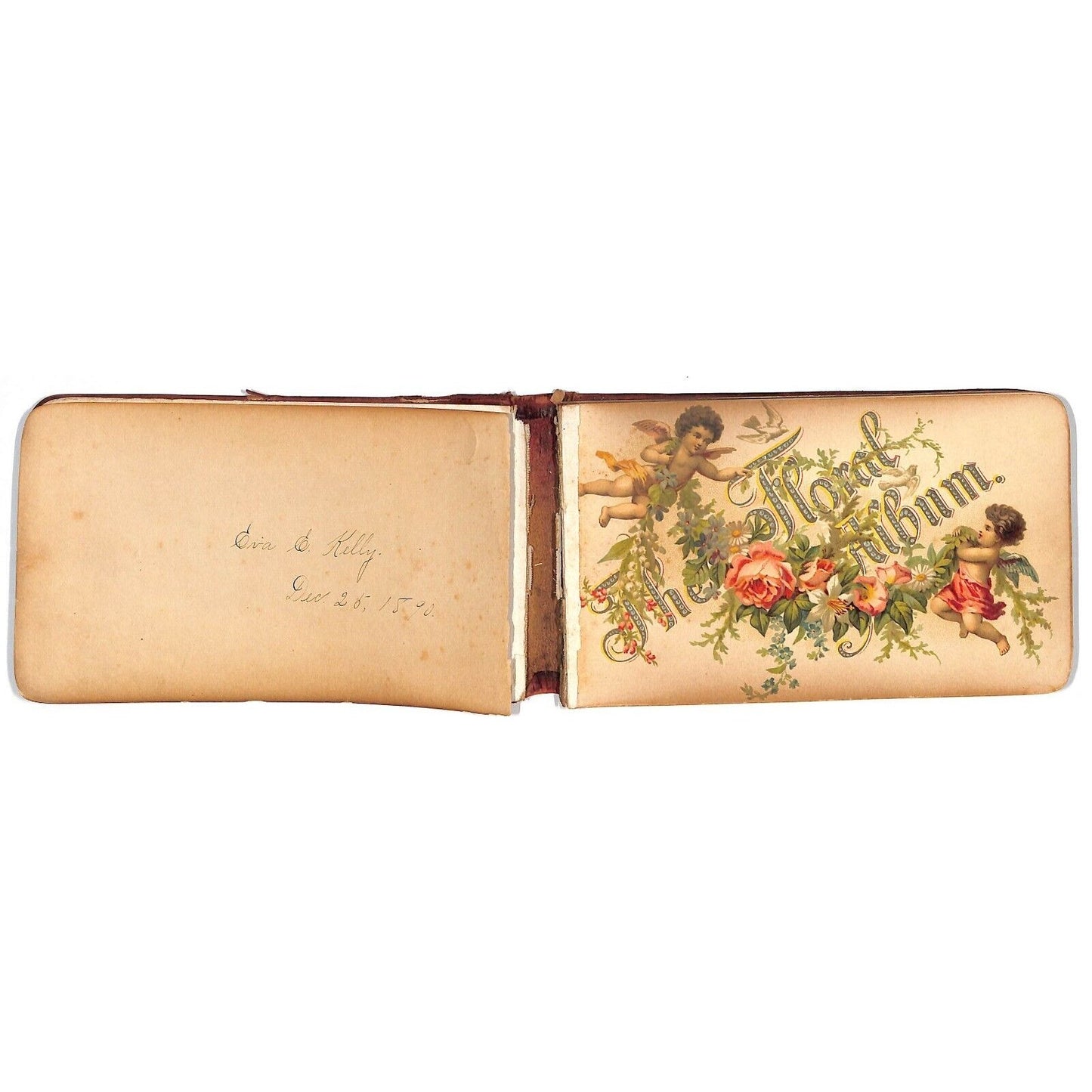 1881 1885 Victorian Signature Book w/ some Color Illustration Pages