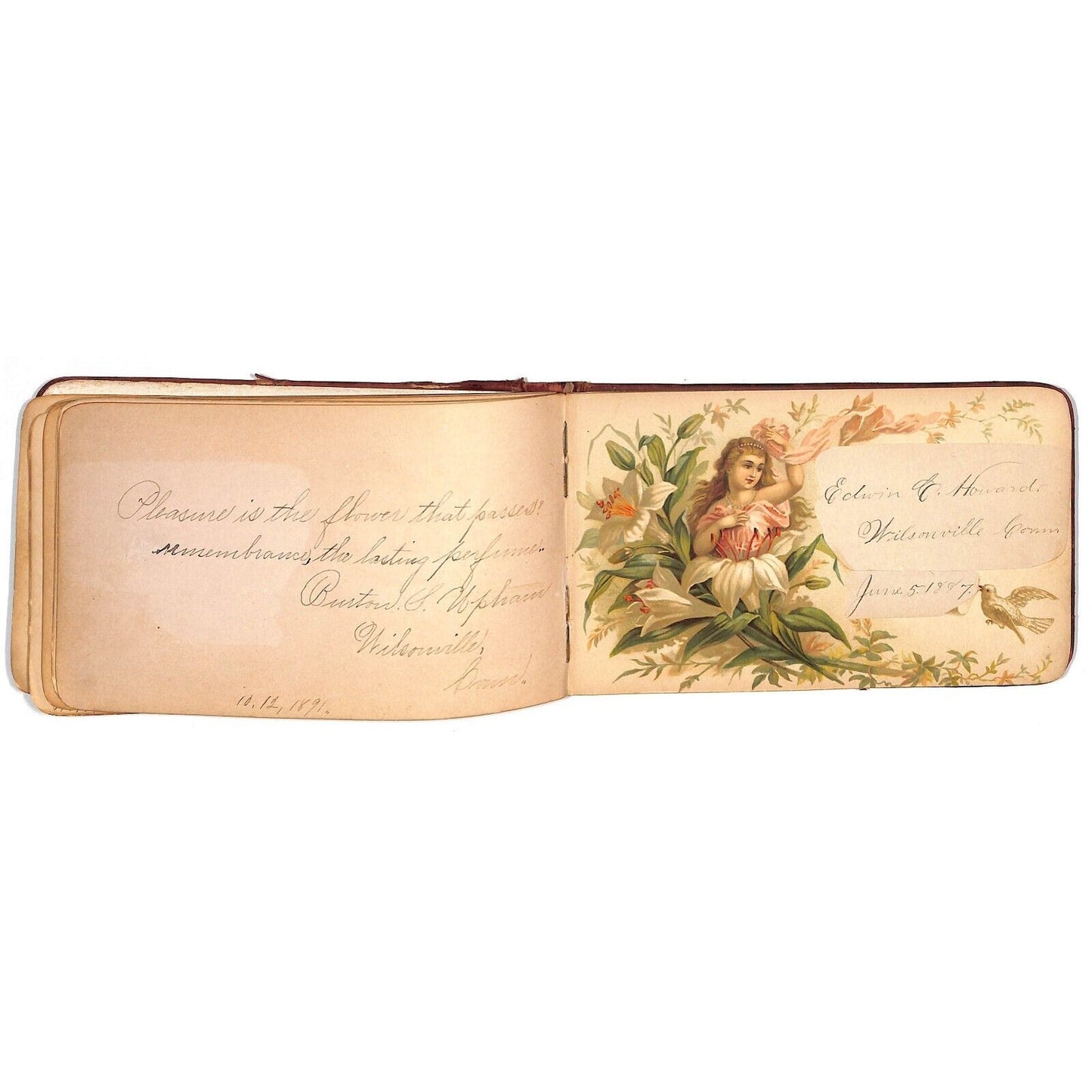 1881 1885 Victorian Signature Book w/ some Color Illustration Pages