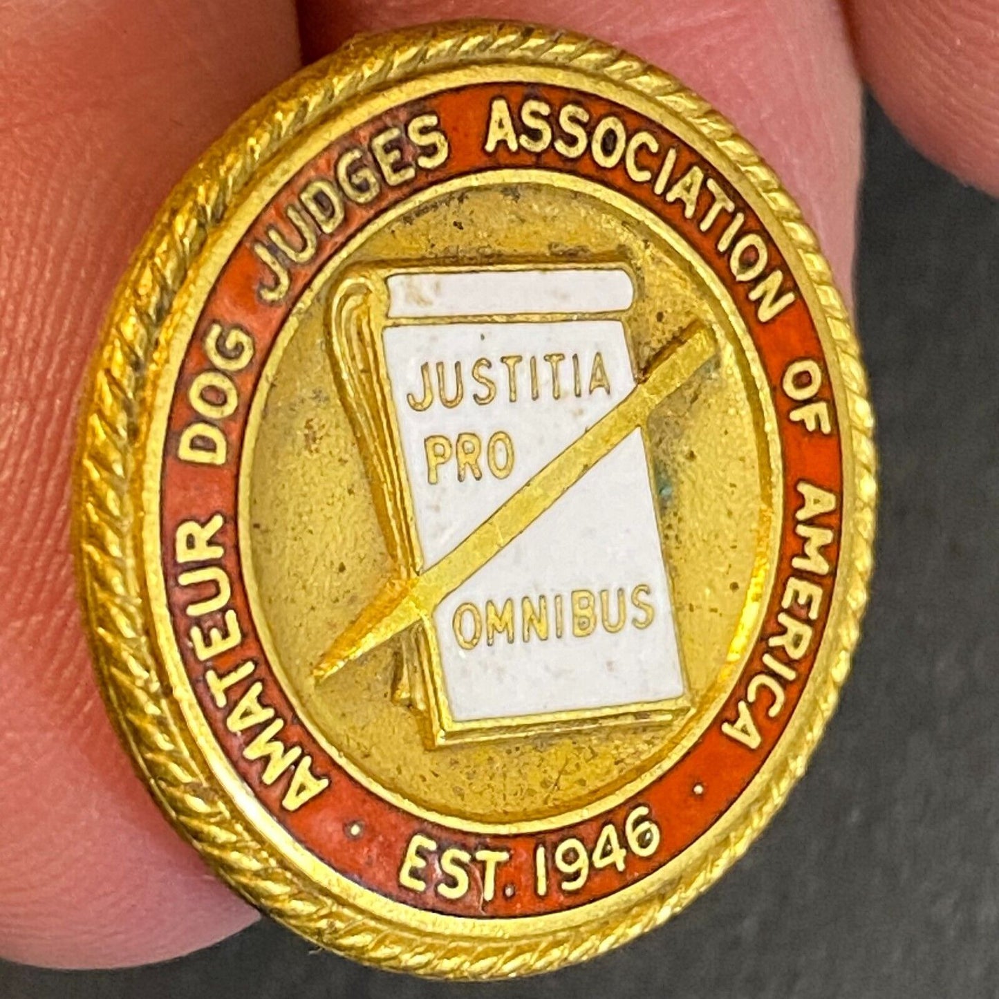 Amateur Dog Judges Association of America Color Enameled Lapel Pin Scarce - 23mm