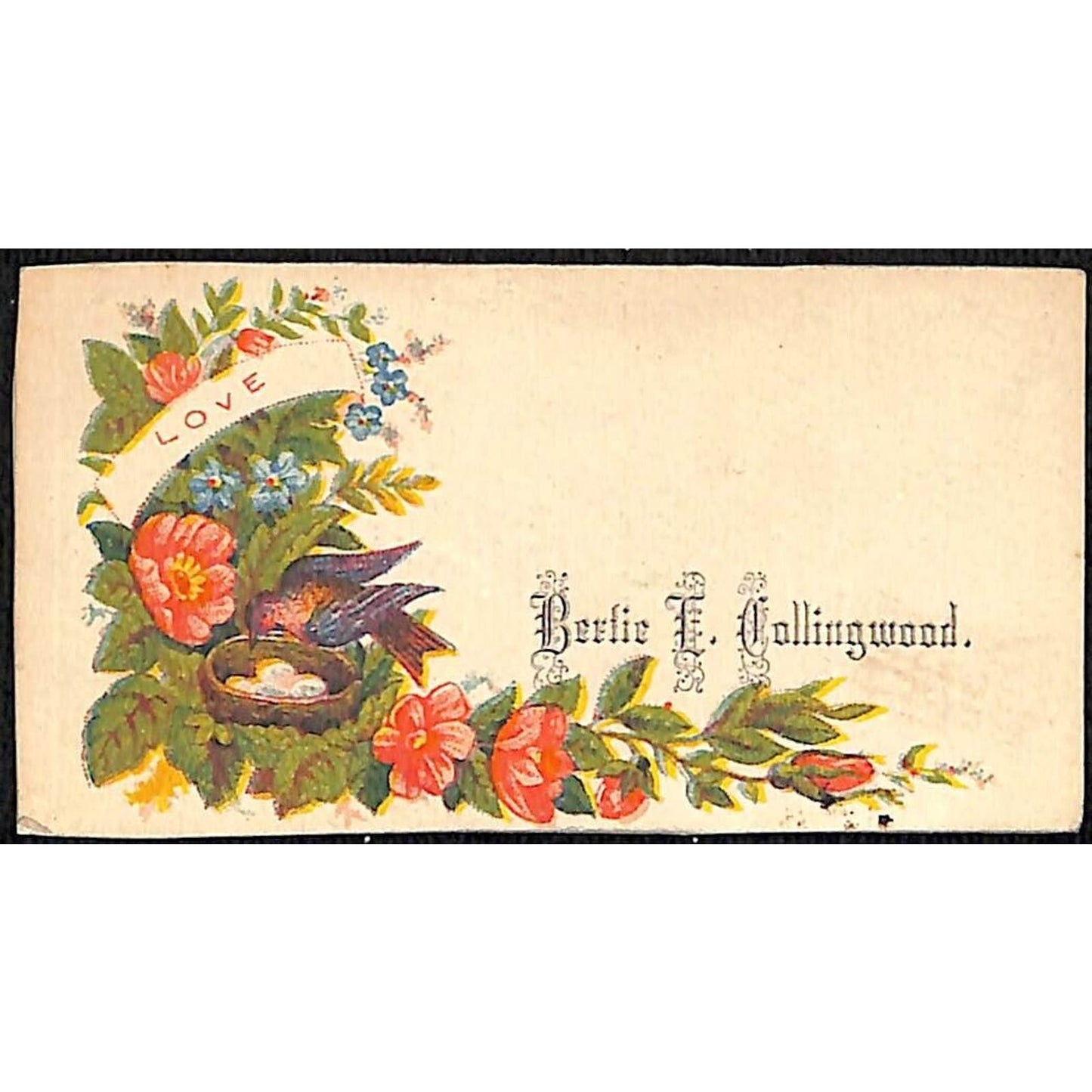 "Bertie L. Collingwood" Victorian Calling Greeting Card - Floral Bird Nest Eggs