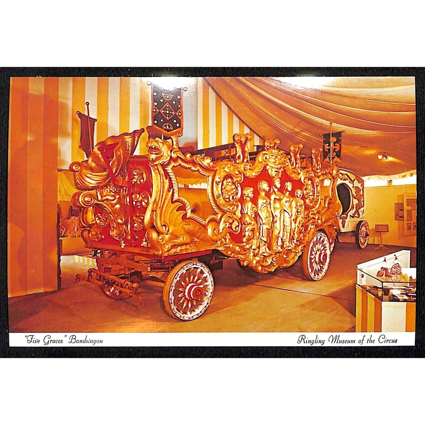 Ringling Museum "1878 Five Graces Bandwagon" c1971 Postcard 4" x 6" RPPC*