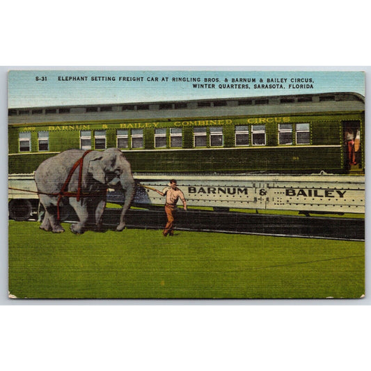 Elephant Setting Freight Car Ringling Bros. Sarasota Linen Postcard c1935-45 VGC