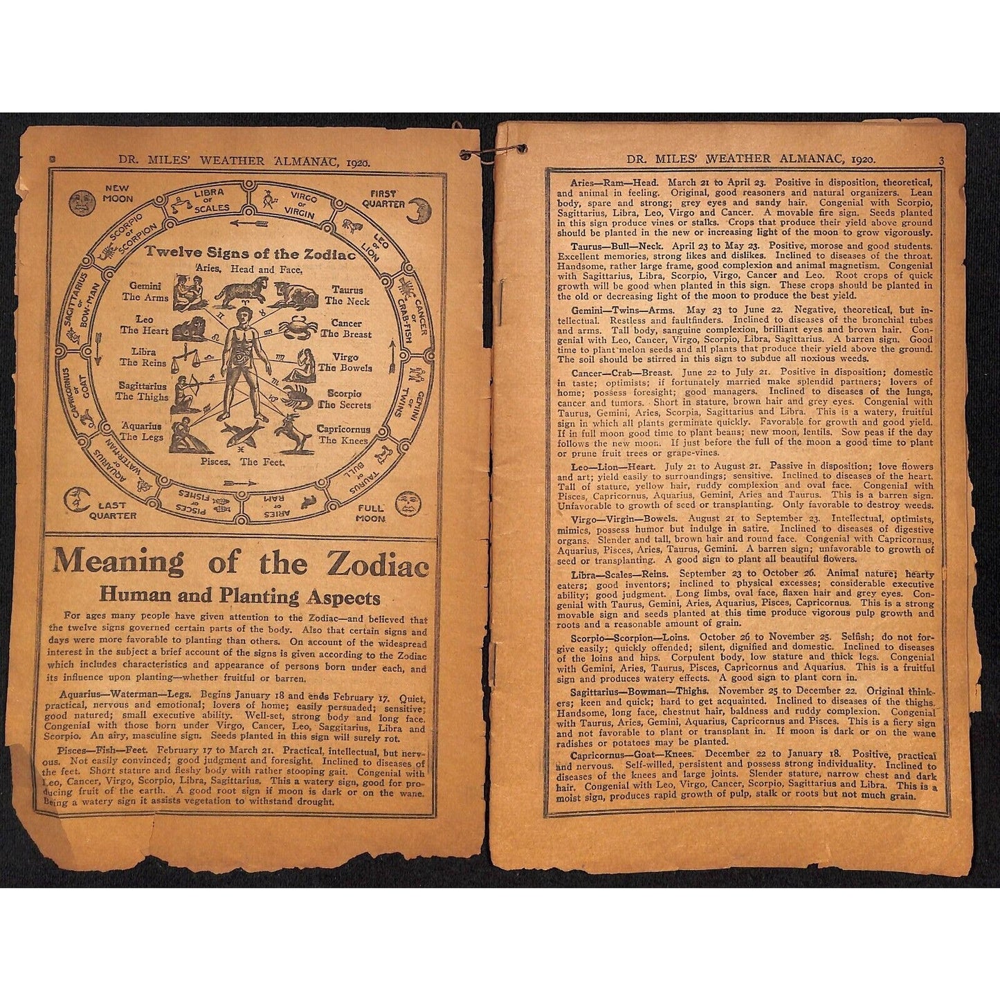 1933 Dr. Mills All Weather Almanac and Handbook 32pp & 1920 Edition in Bad Shape