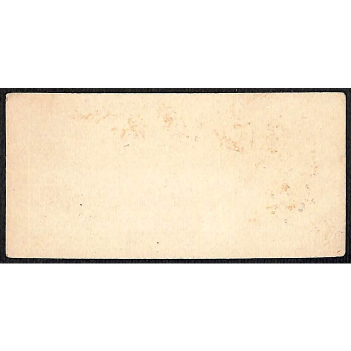 "Mr. & Mrs. S.G. Beckett" Victorian Calling Greeting Card - Floral Art