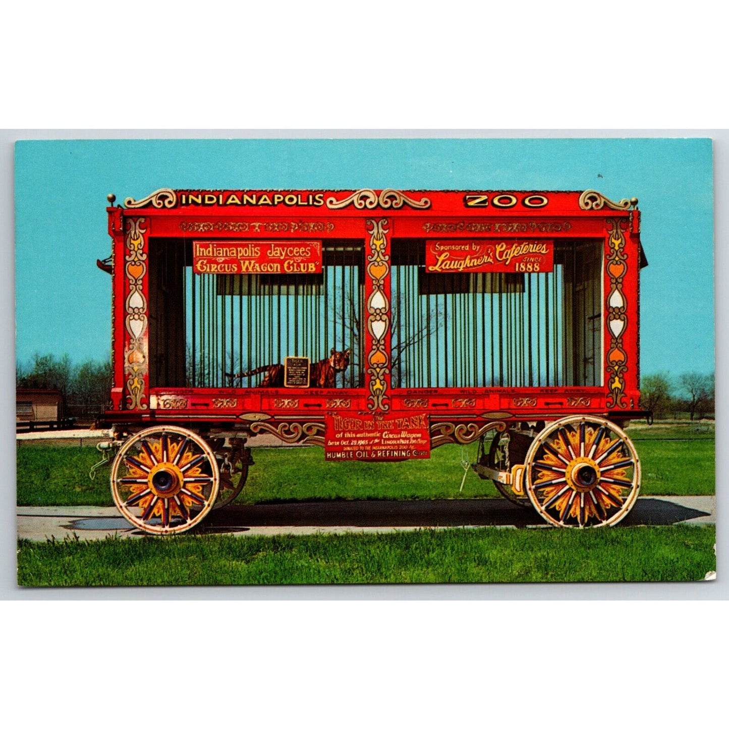 Indianapolis Zoological Park Circus Cage-Wagon Postcard NP VGC c1966-70's