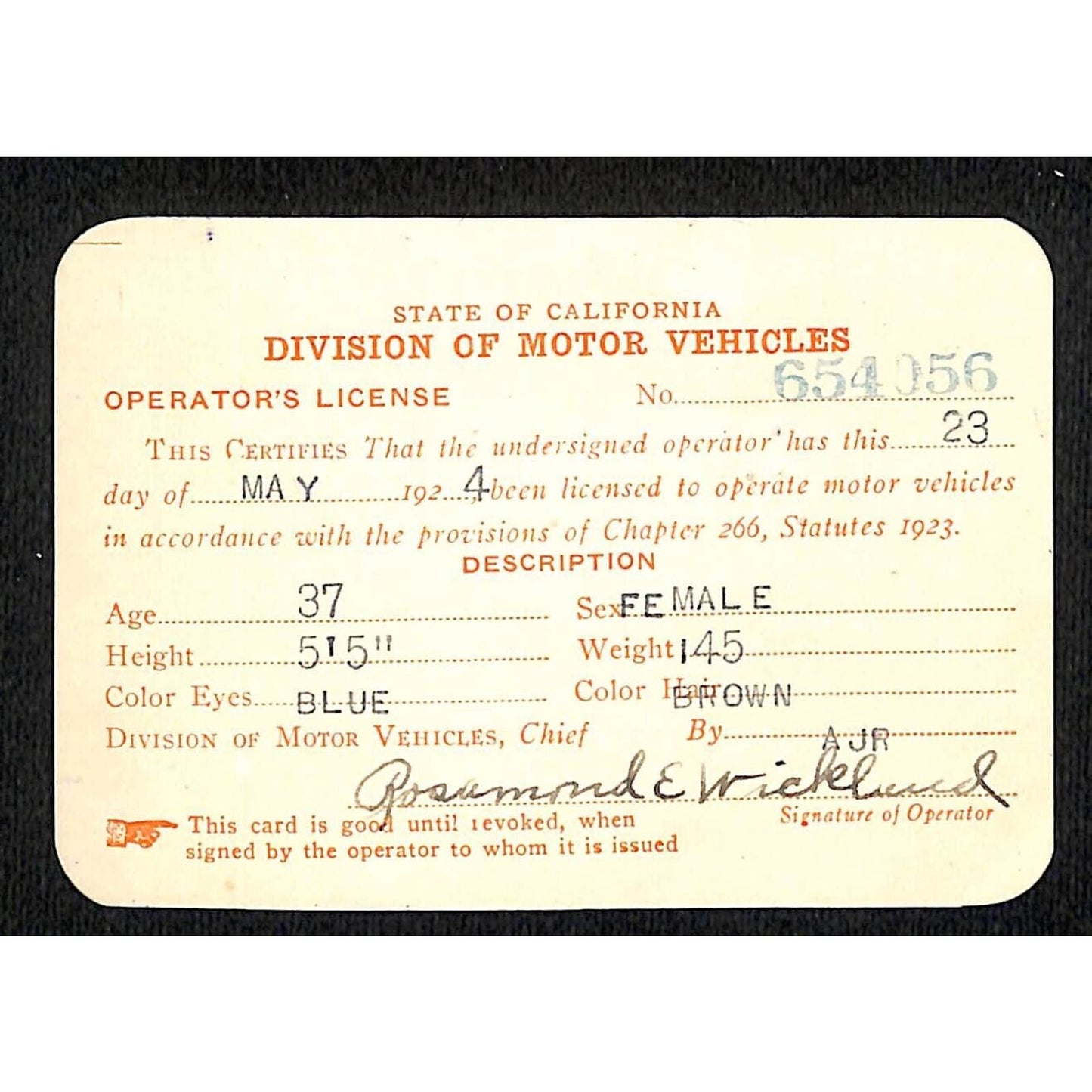 1924 California Motor Vehicle Operator's License ID Card VGC