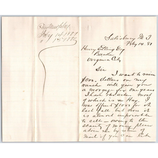 1881 ALS from Peter Murphy Salisbury MT to Henry Elling* "Want to Raise $500.."