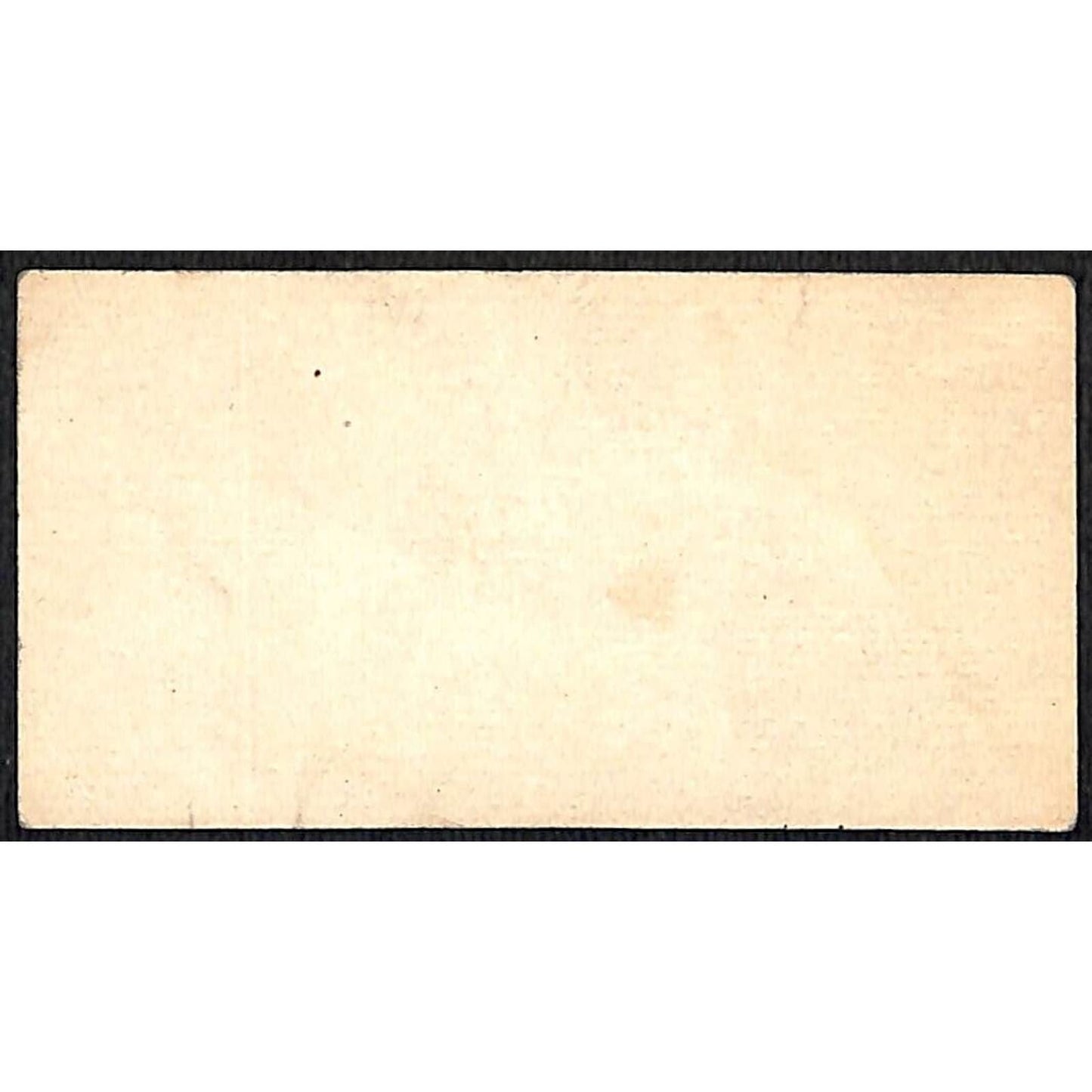 "Mr. & Mrs. G. Spencer" Victorian Calling Greeting Card - Floral w/ Horseshoe