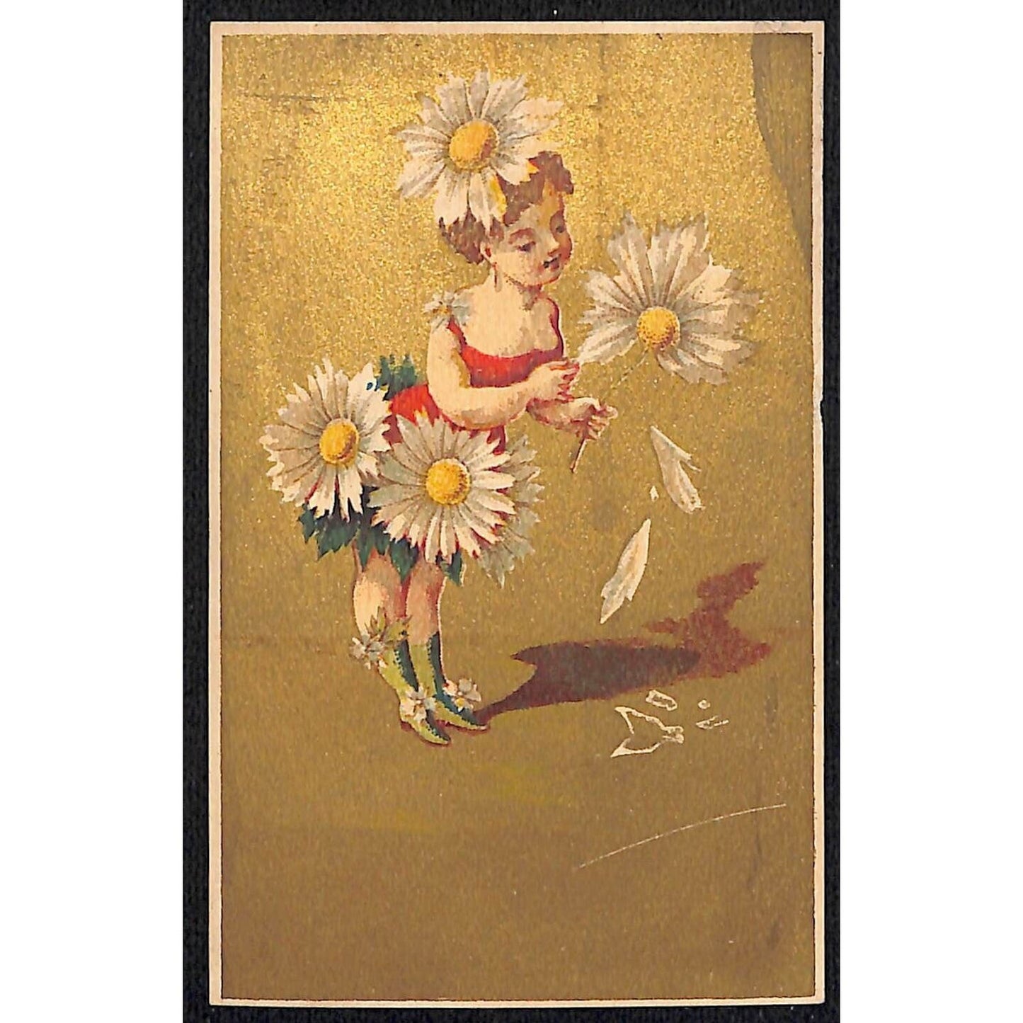 Blank Victorian Trade Card Girl in Fancy Flower Dress Picks Petals