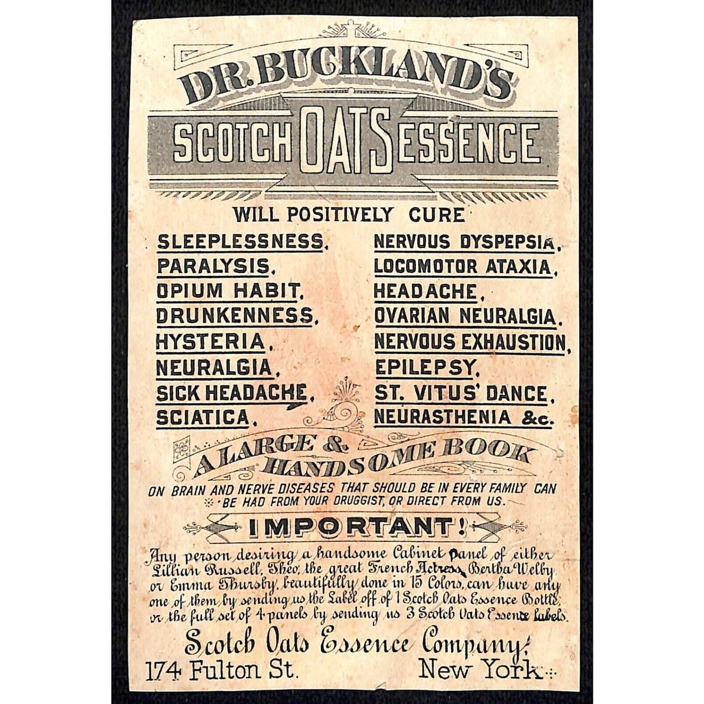 Dr. Buckland's Scotch Oats Essence Victorian Trade Card Winged Infants / Cherubs