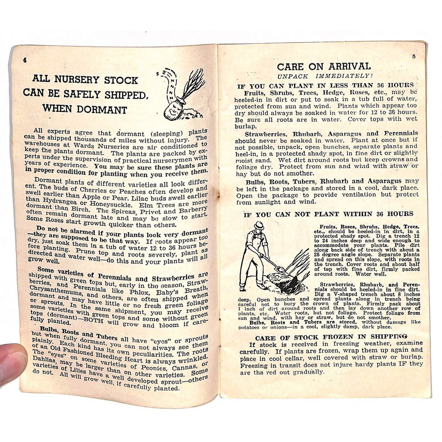 1942 Mongomery Wards Planting Guide Fertilizers Illustrations Booklet 31pp