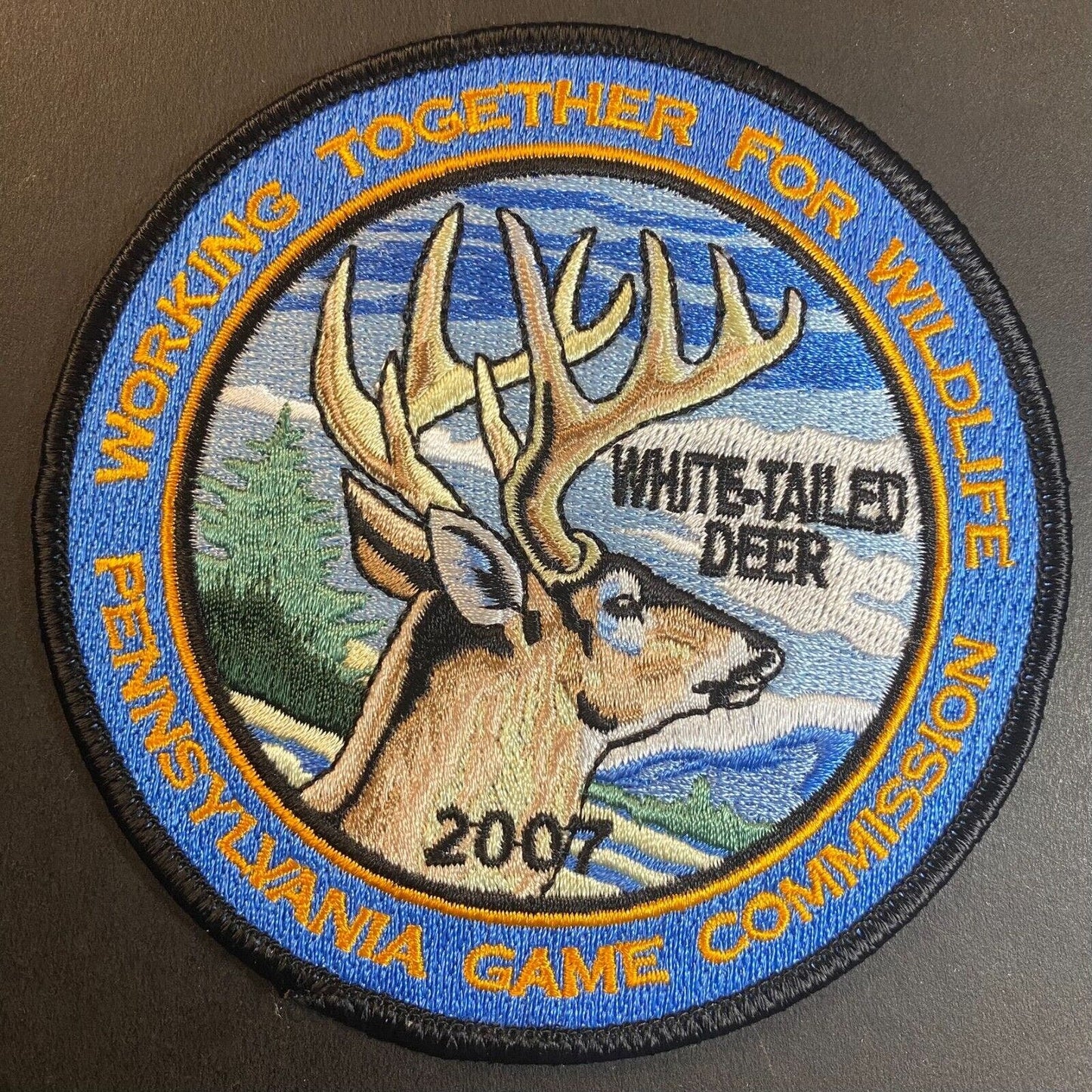 PA Game Commission White Tailed Deer 2007 Wildlife Embroidered Patch 4" NOS VGC