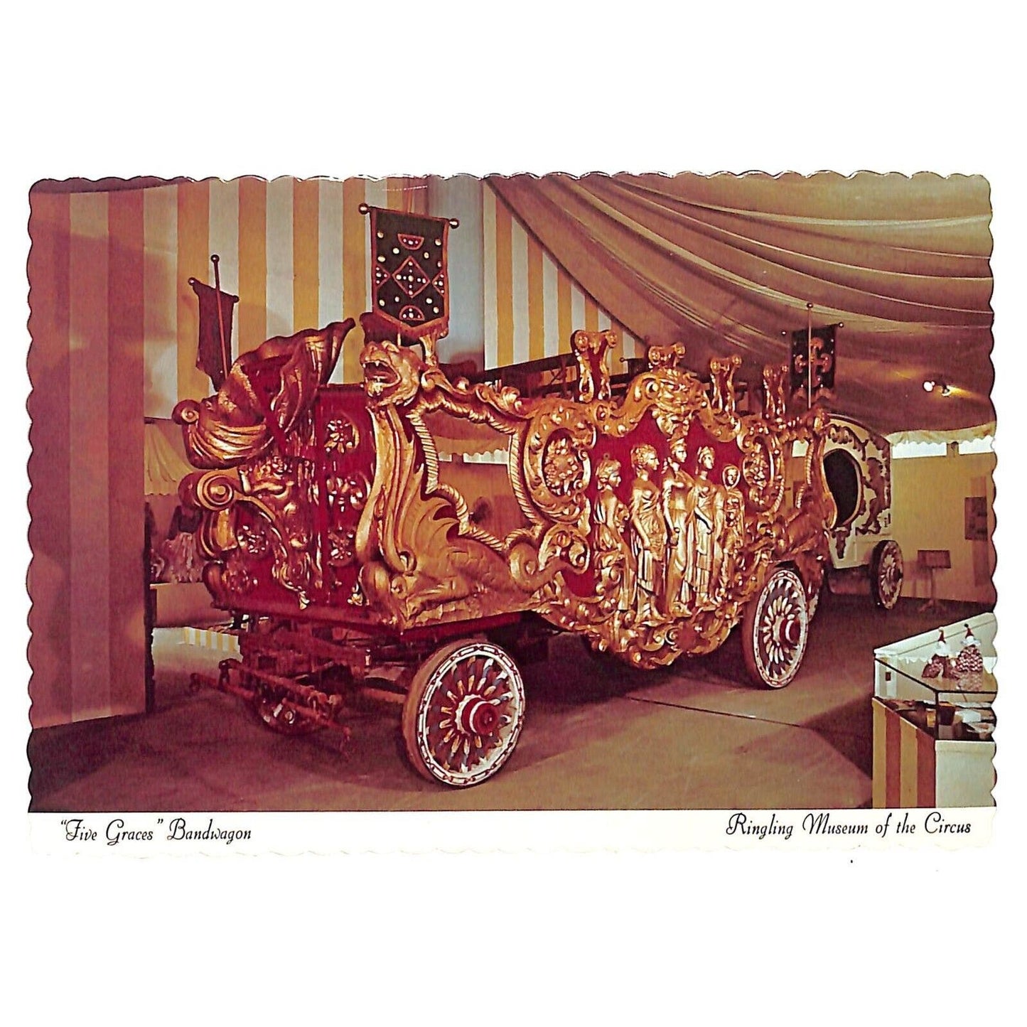 Hertzberg Circus Collection "Five Graces Bandwagon" 1971 Postcard 4" x 6" RPPC*