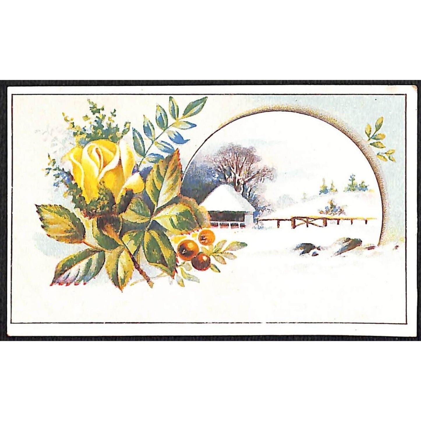 Brattleboro, VT C.E. Allen Seedsman Florist Victorian Trade Card - VGC