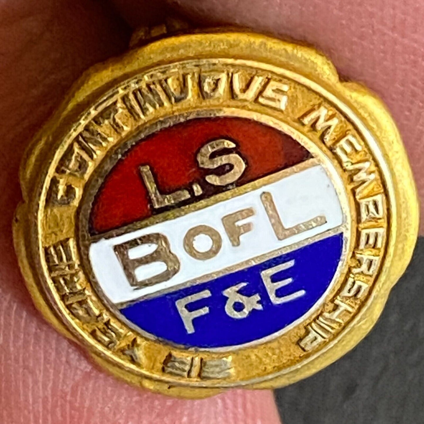 L.S. B of L F&E (Locomotive Firemen) 25yr. Color Enameled Lapel Pin 14mm