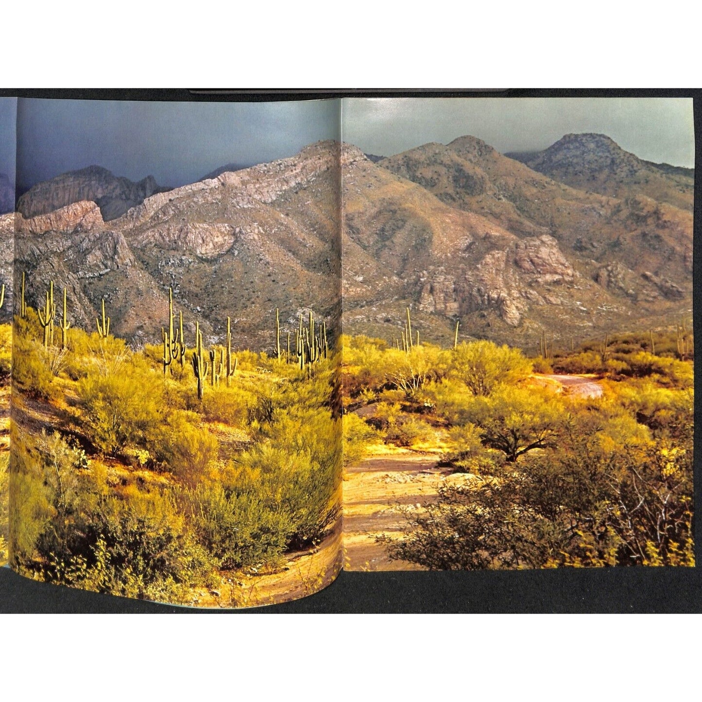 Arizona Highways Magazine December 1961 Season's Greetings 36pp VGC