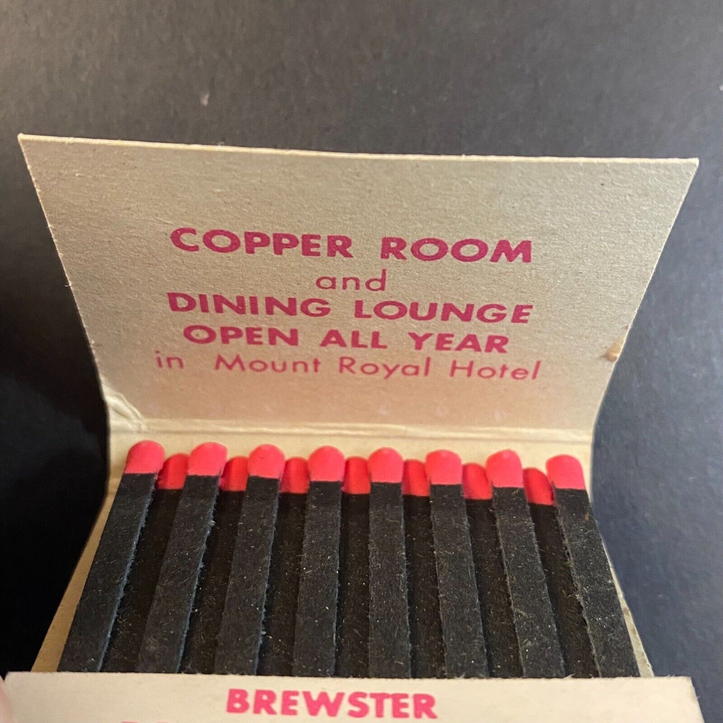 Lake Louise Banff Jasper Brewster Gray Line Full Matchbook c1973-80's VGC Scarce