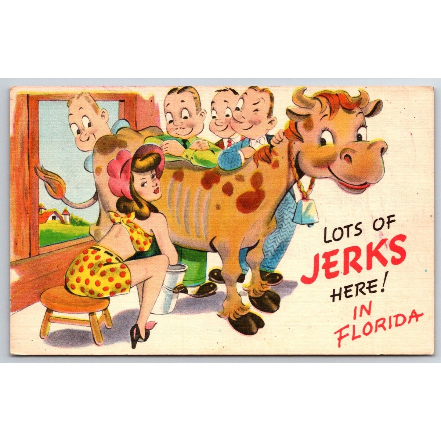 Funny Girlie Farm Humor Postcard "Lots of Jerks Here in Florida" c1950's-60's