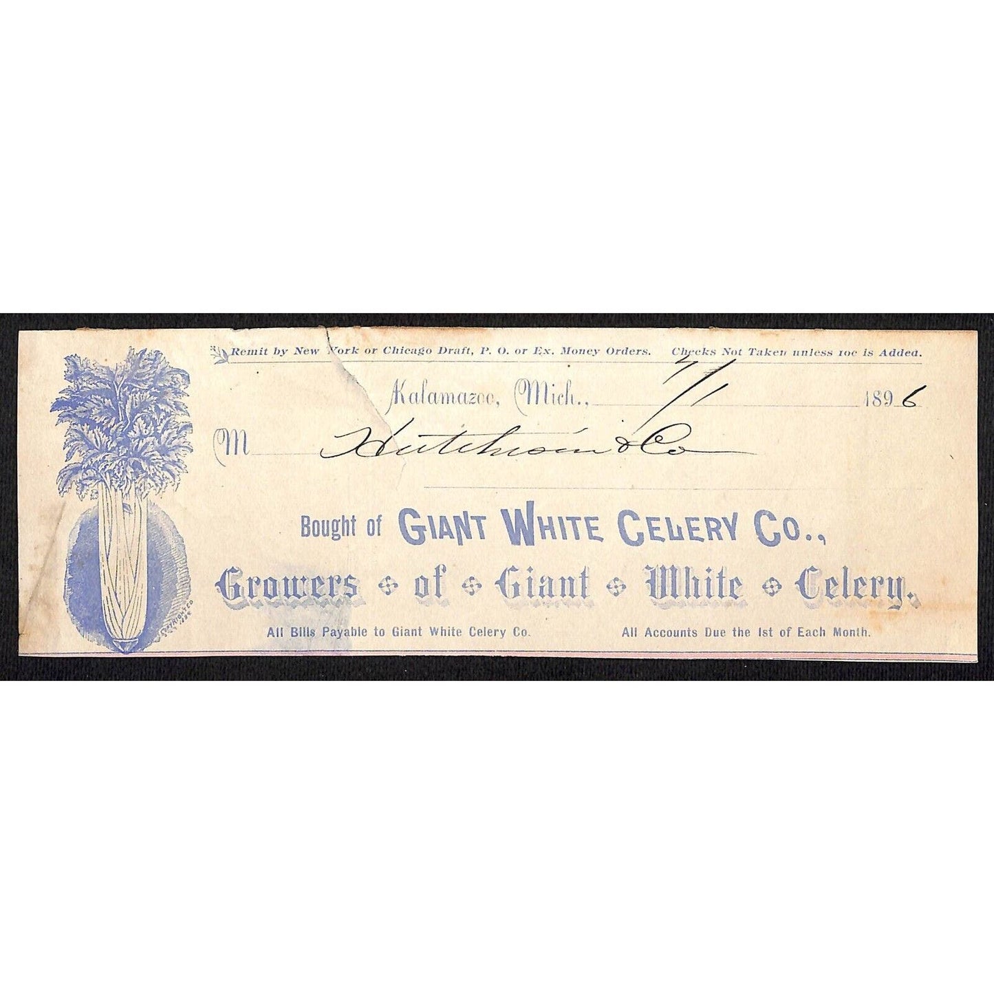 Giant White Celery Co. Kalamazoo, MI Hutchinson Decorah IA* Cut 1896 Billhead