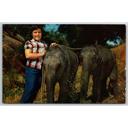 Jungleland Thousand Oaks, CA Robin Kabat Bimbo Jr. Adel Elephants Postcard NP