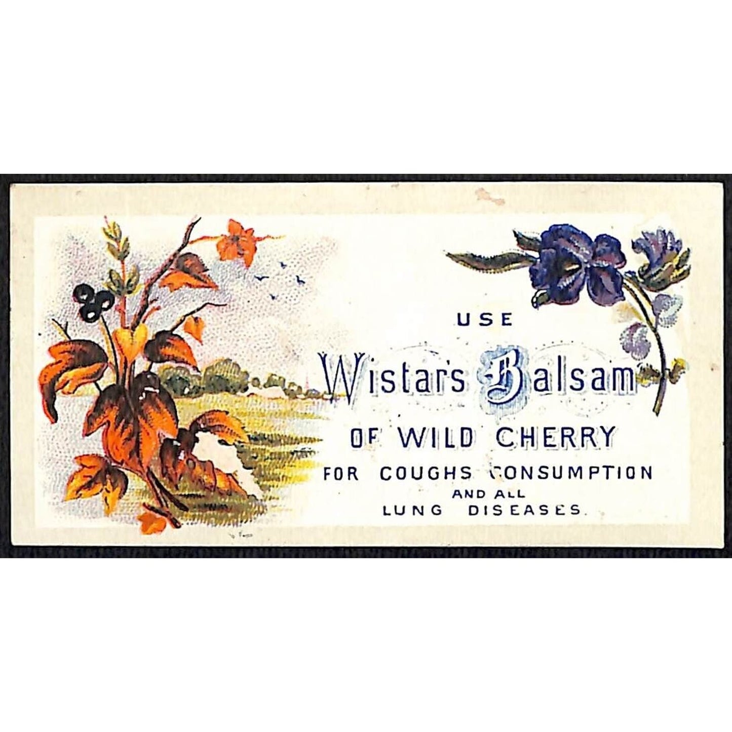 Wistars Balsam of Wild Cherry Lung Diseases Victorian Trade Card VGC