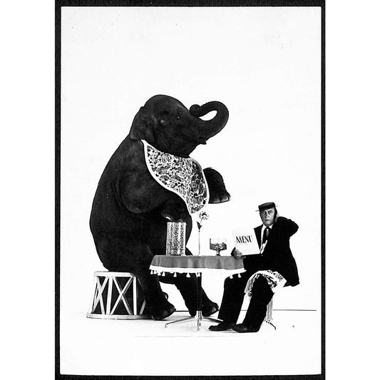 Buster Keaton 1964 Photo 1984 Postcard Elephant 4 1/4" x 6" NP