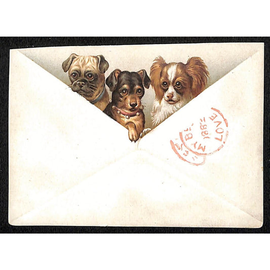 Fleming Bros. Drugs Pittsburg Victorian Trade Card - Dogs Peek Out From Envelope