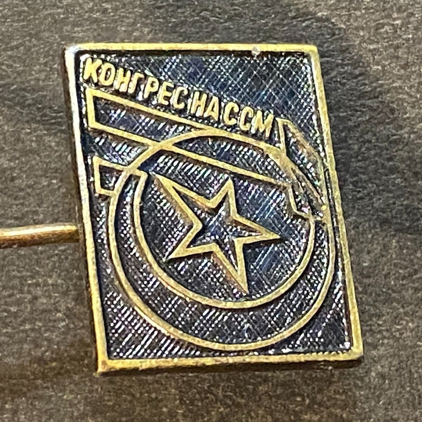 Russian USSR Vintage Lapel Pin - Nassmm Congress ??
