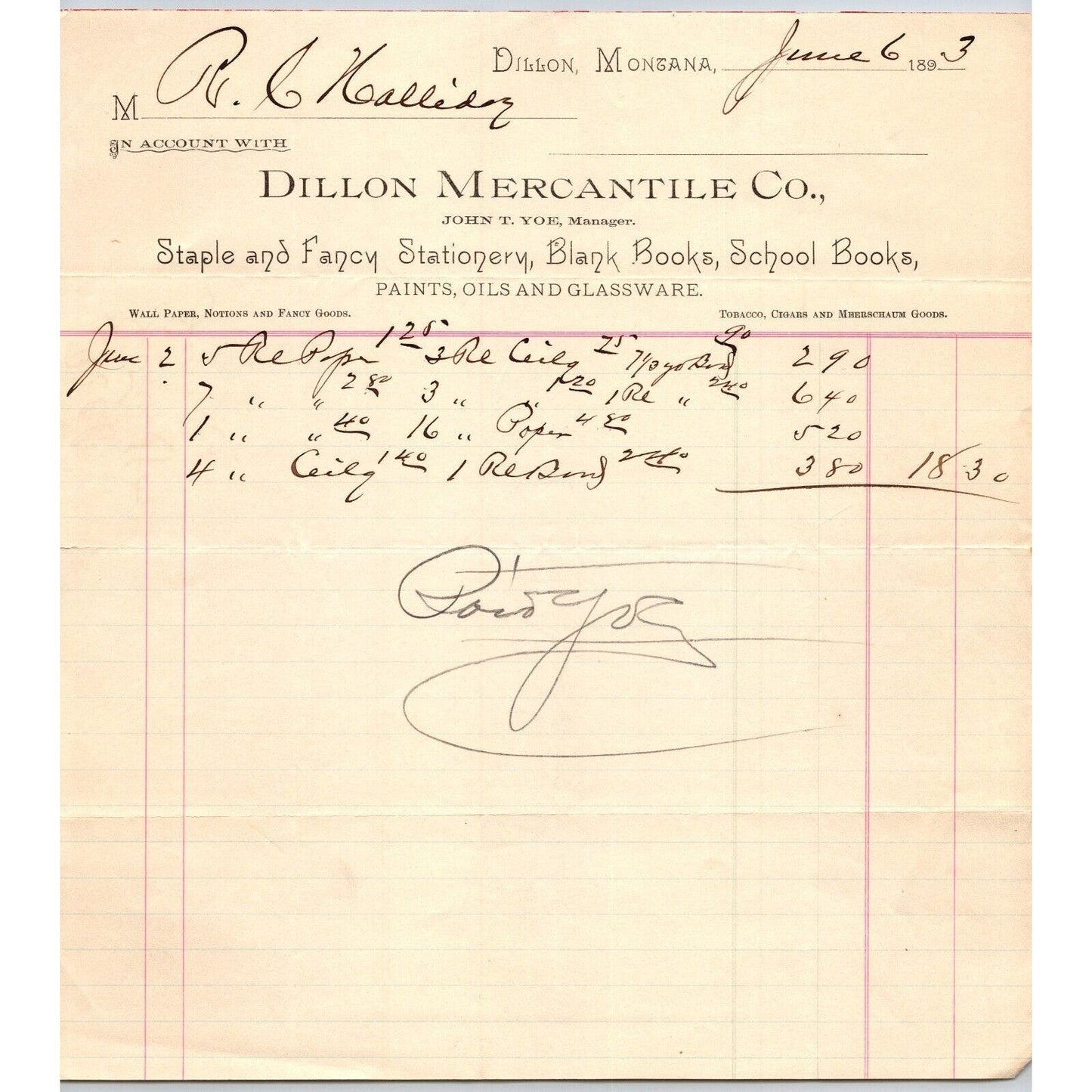 Dillon MT Dillon Mercantile Co. Stationary Books 1883 Billhead R.C. Halliday*