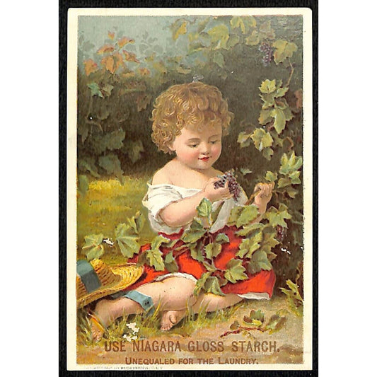 Niagara Gloss Starch Victorian Trade Card Kids Plays With Wild Berries