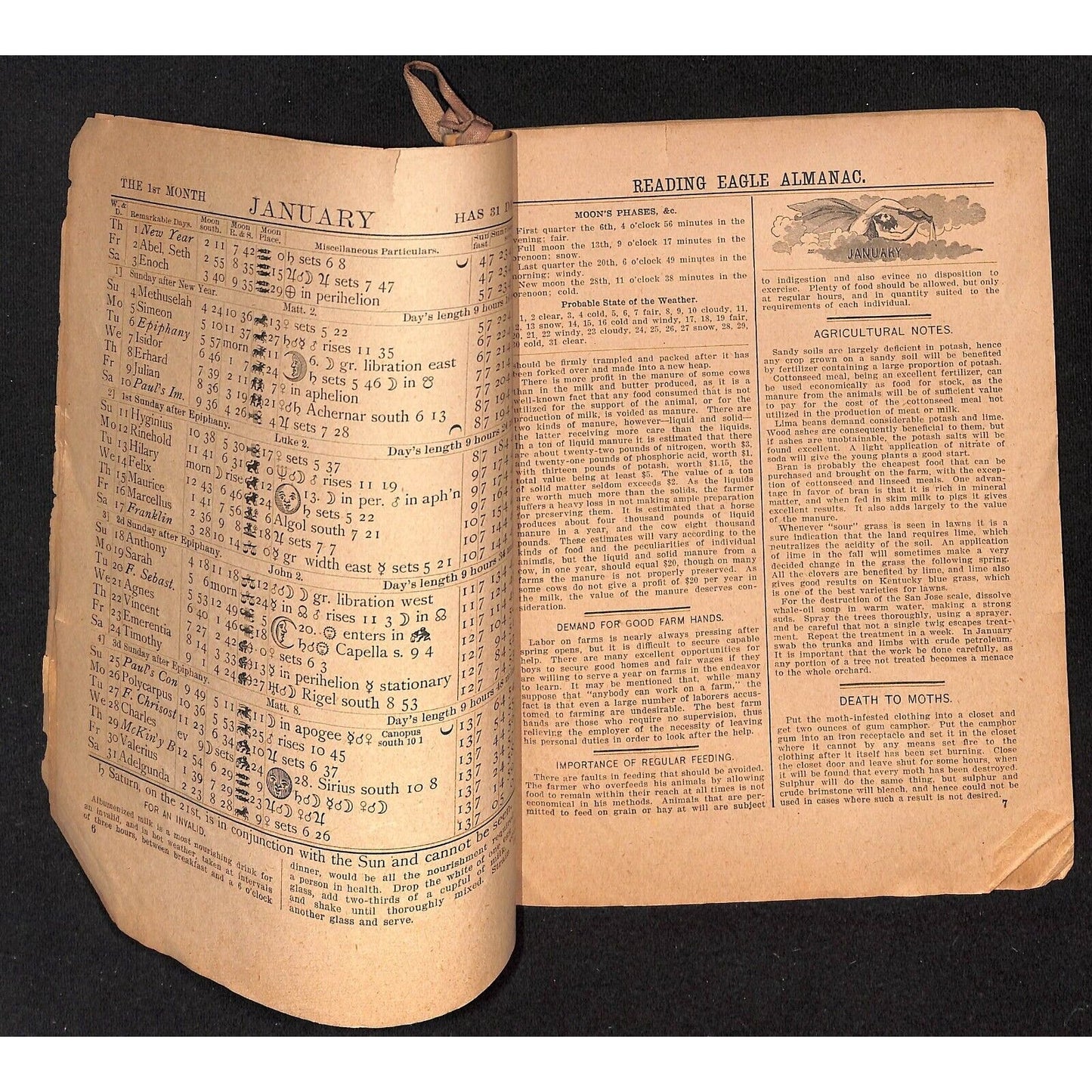 1903 Reading Eagle Almanac Reading, PA 29pp Scarce