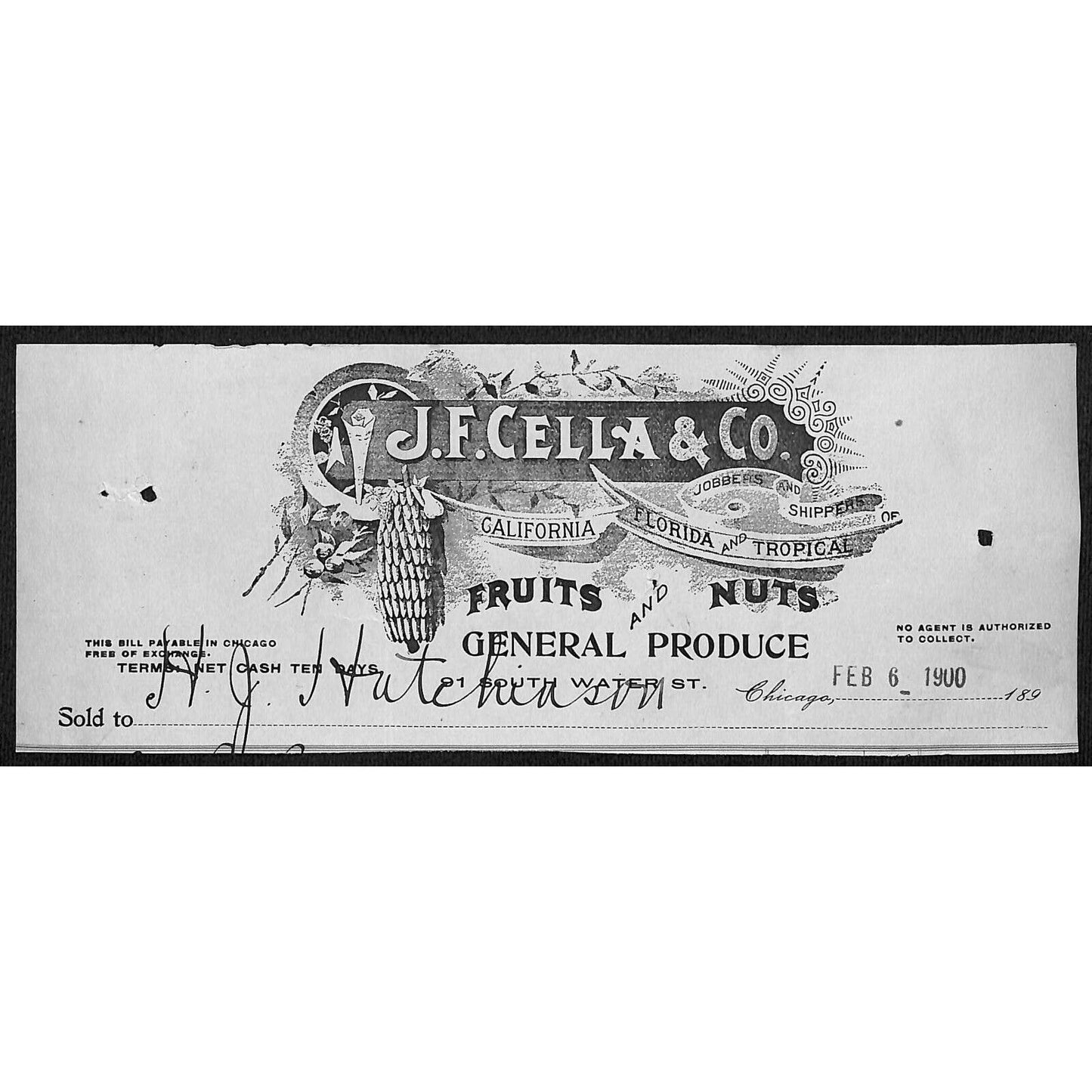 J.F. Cella & Co. Bananas Chicago H.J. Hutchinson* Decorah Cut 1900 Billhead