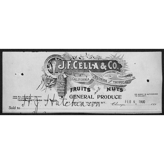 J.F. Cella & Co. Bananas Chicago H.J. Hutchinson* Decorah Cut 1900 Billhead