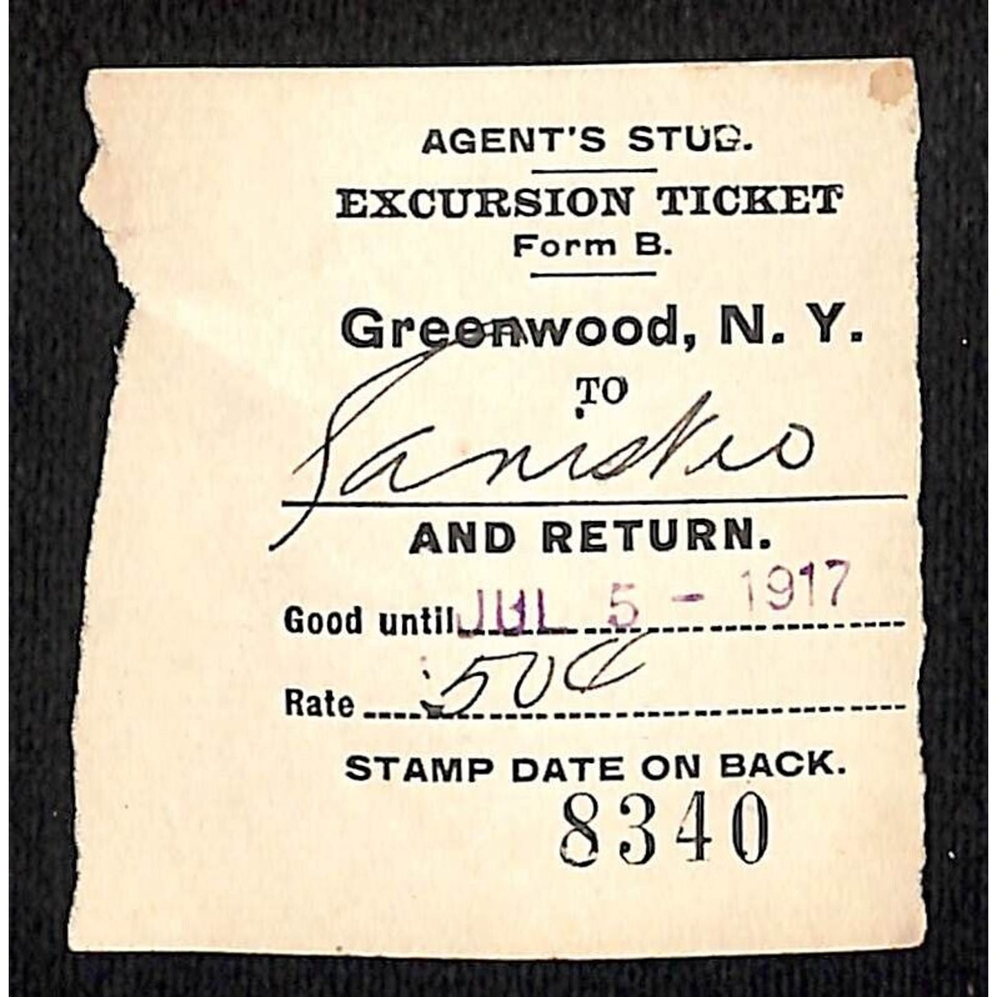 New York & Pennsylvania Ry 1917 Greenwood, NY Excursion Ticket Stub #8340