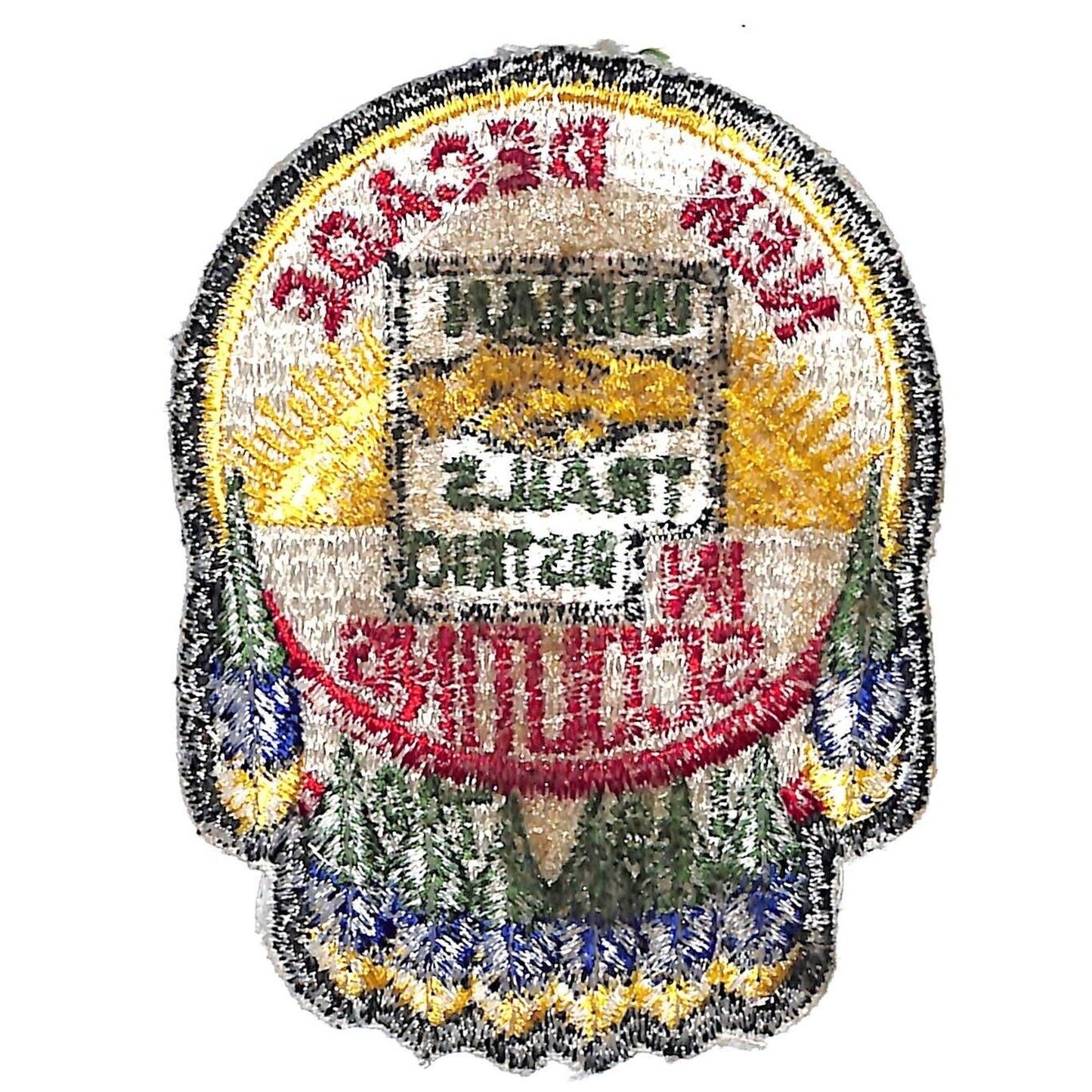 Boy Scouts BSA 1970 Indian Trails District "New Decade in Scouting" Patch Scarce