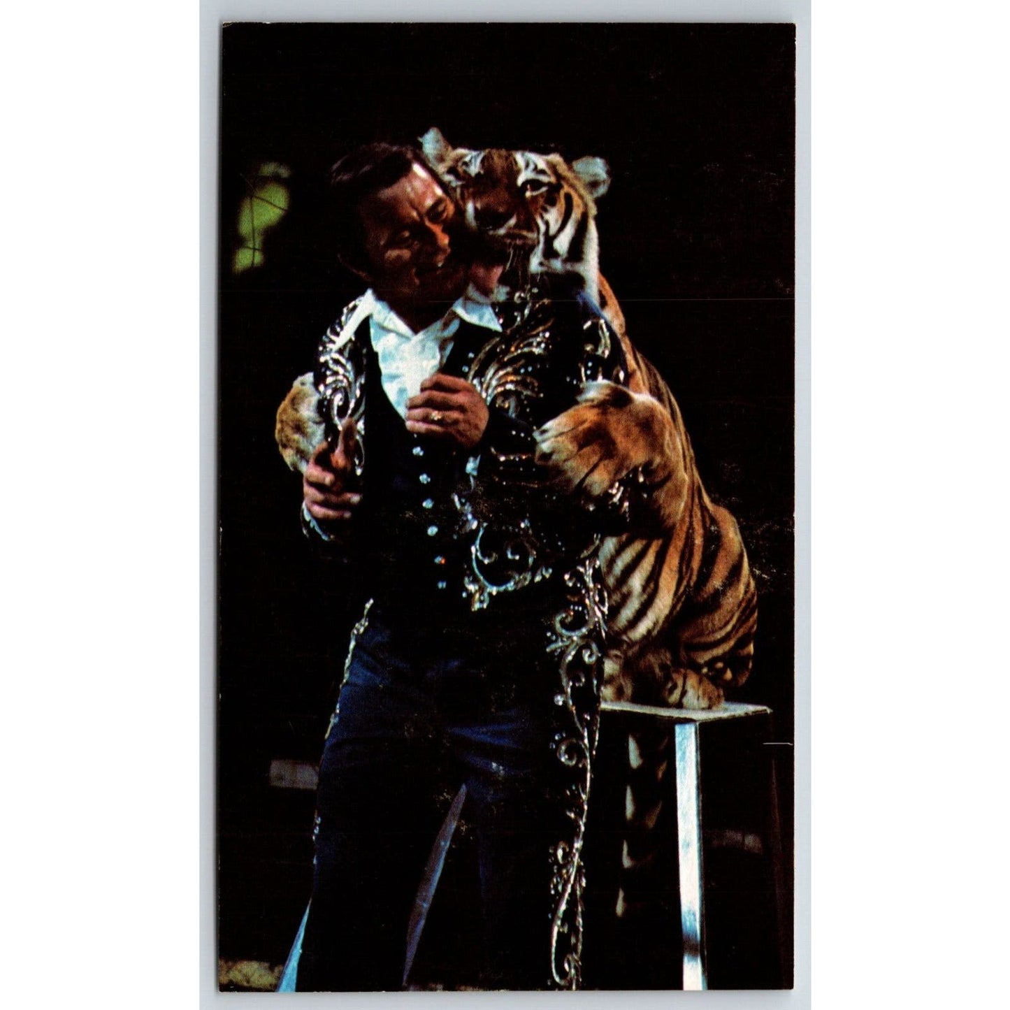 Ringling Bros. Tiger Teacher Charly Baumann Postcard VGC NP c1973