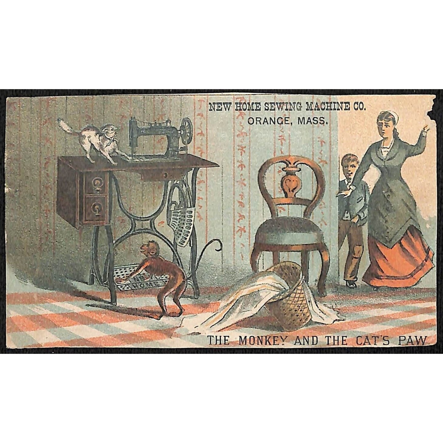 New Home Sewing Machine Co. Victorian Trade Card Monkey Sews Cat's Paw - Ouch!