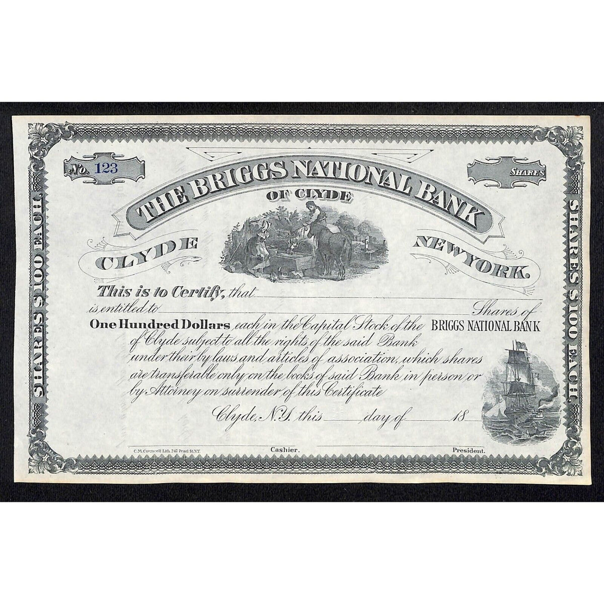 The Briggs National Bank of Clyde NY c1880* Stock Certificate Unissued #123