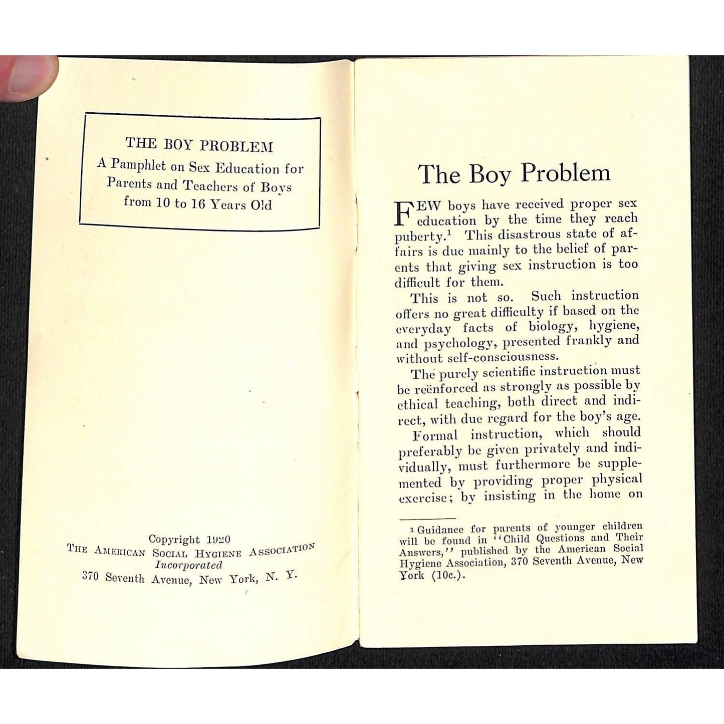 "The Boy Problem" 1920 Sex Education Pamphlet for Parents & Teachers 32pp VGC