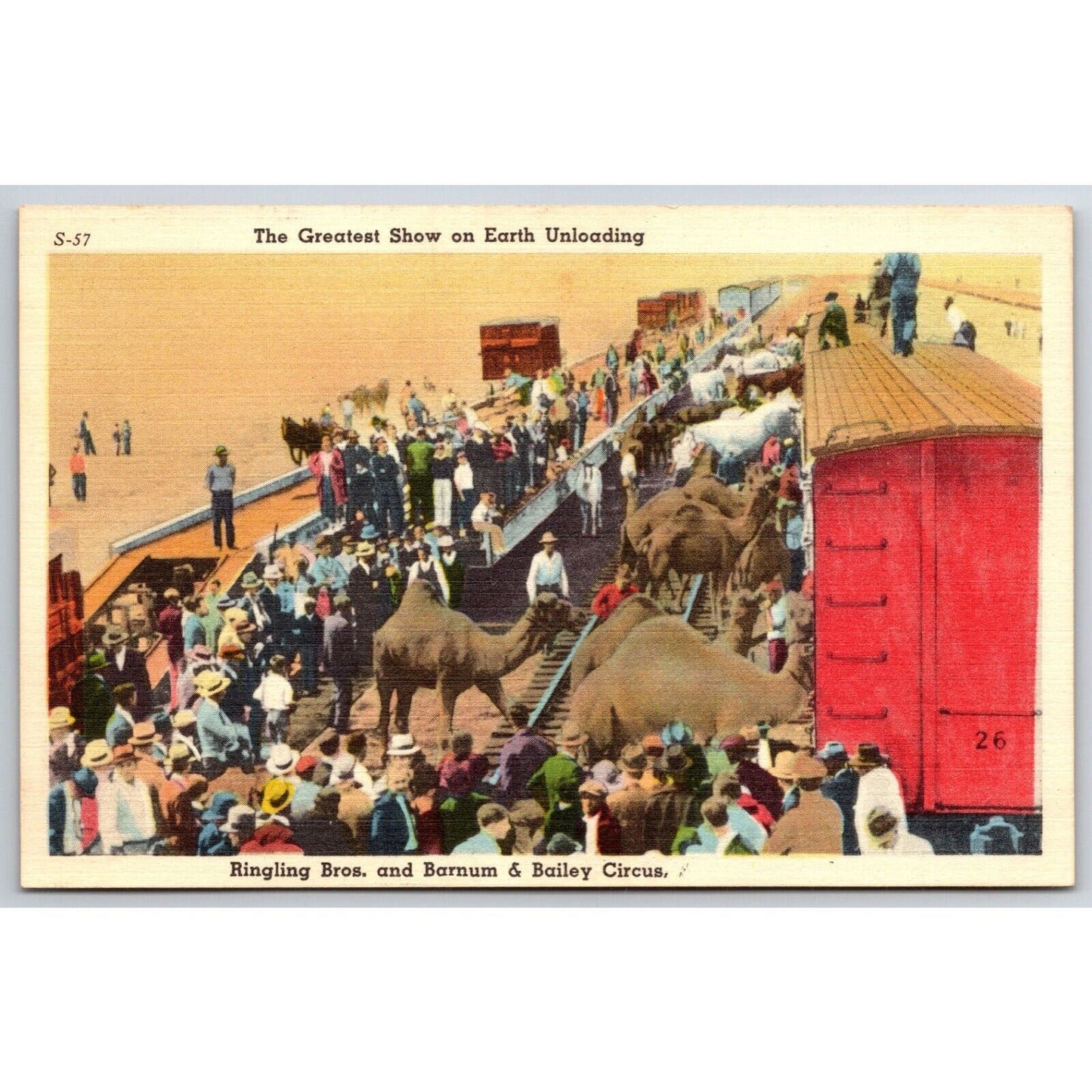 Animals Unloading from RR Freight Cars Ringling Bros Linen Postcard c1935-45 VGC