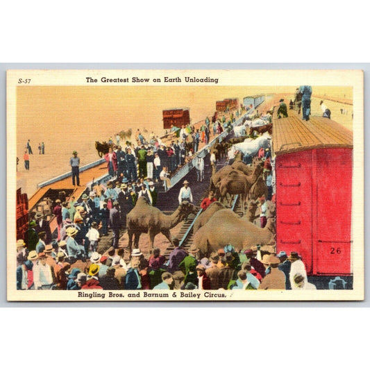 Animals Unloading from RR Freight Cars Ringling Bros Linen Postcard c1935-45 VGC