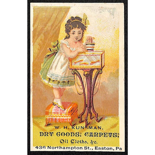 Easton, PA W.H. Kunsman Dry Goods Carpets Victorian Trade Card Girl Feeds Fish