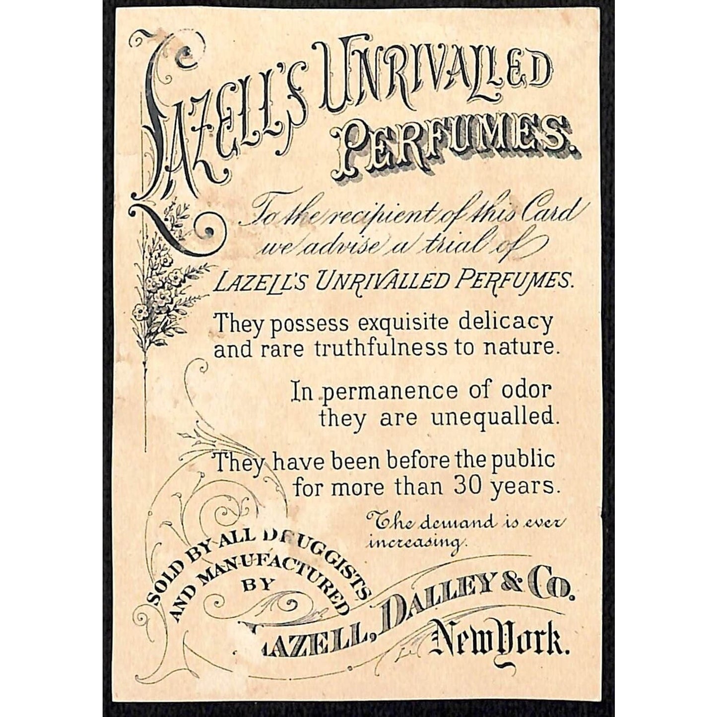 Hazell's Perfumes Hazell & Dalley & Co. NY Victorian Trade Card Women Ride Horse