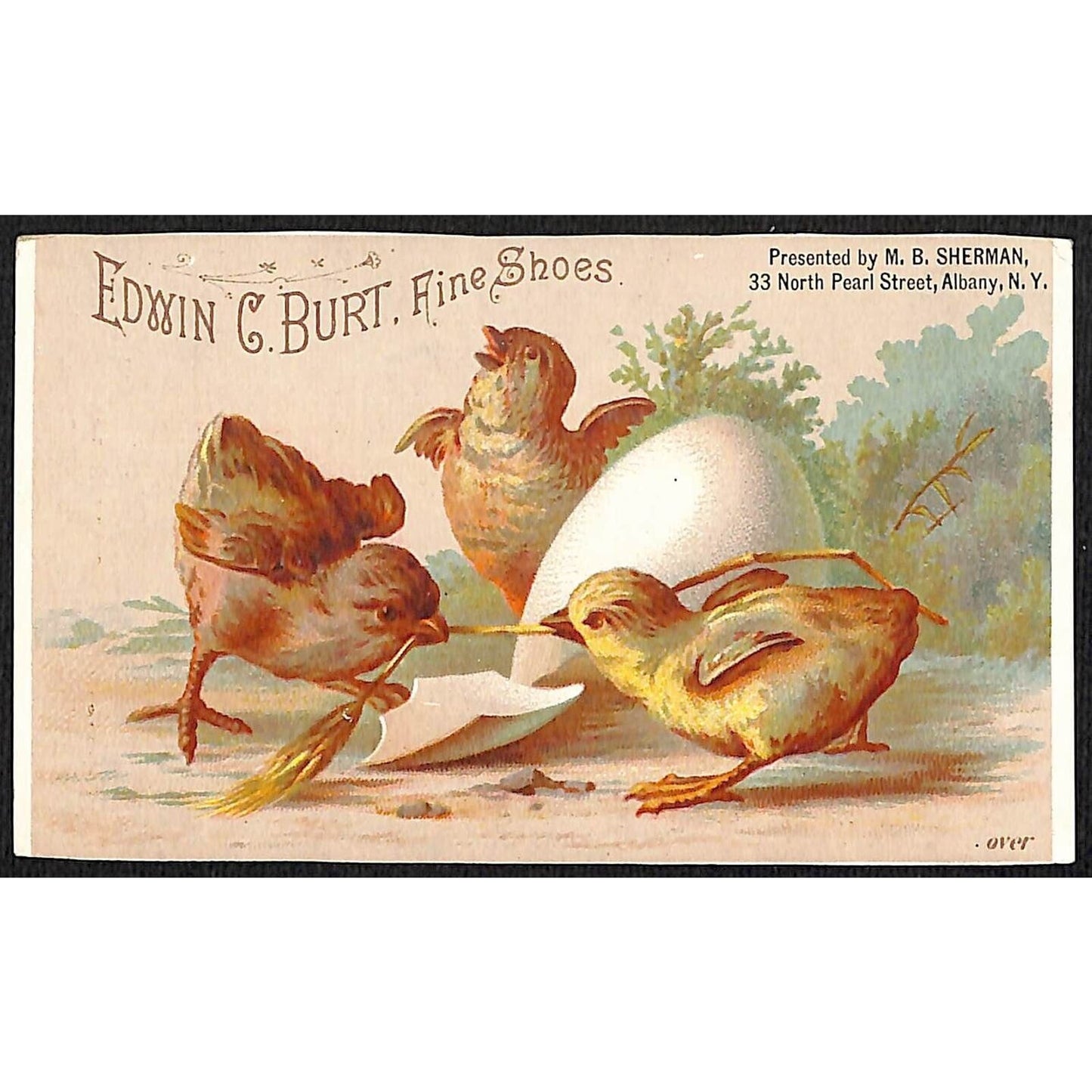 Edwin C. Burt Fine Shoes / M.B. Sherman Albany Victorian Trade Card Baby Birds