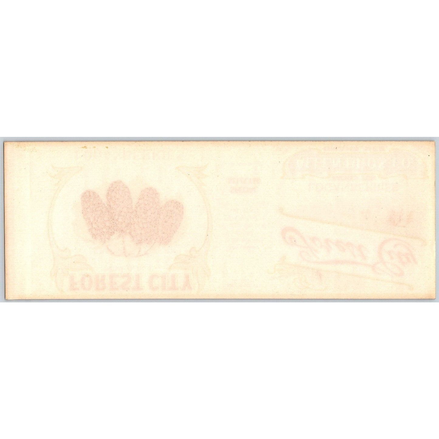 Loganberries Forest City Allen Bros. Omaha Paper Can Label c1920's-30's NOS VGC